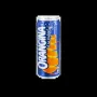 Orangina 33 cl